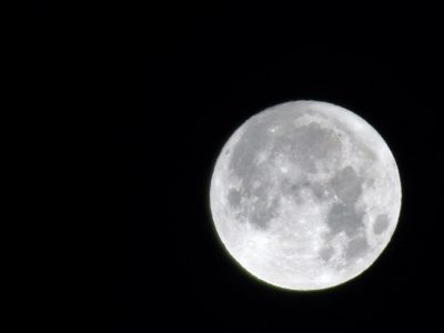 仲秋の名月, the harvest moon