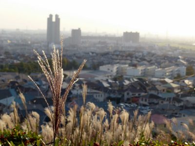 高台から見下ろす秋の街，the autumn town from the hill