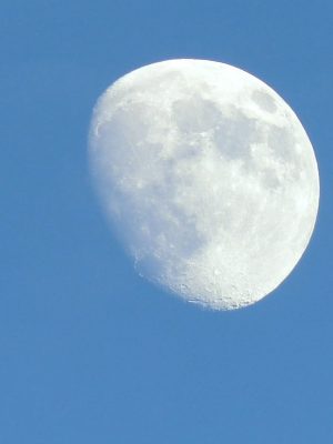 2021年の夏至の日のお月さん, the moon at the summer solstice