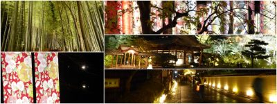 京都花灯路，嵐山と東山, kyoto hanatouro