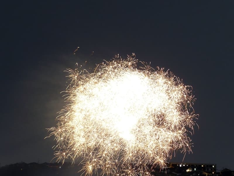 春の花火, Spring Fireworks