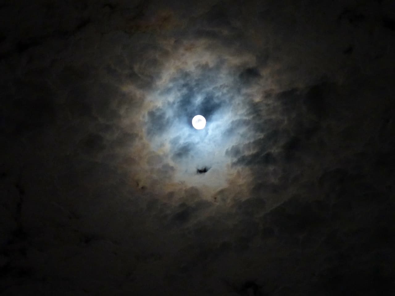 中秋の名月,the hervest moon