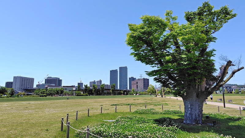 高槻 安満遺跡公園, Ama site park in TAKATSUKI city
