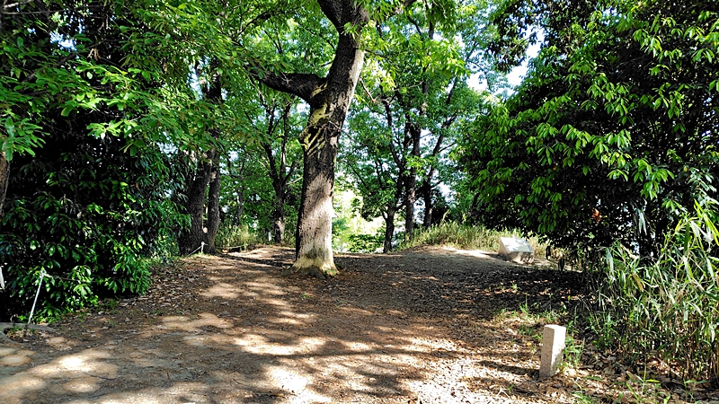 前方後円墳 今城塚古墳, Imashirozuka Burial Mound in Takatsuki city