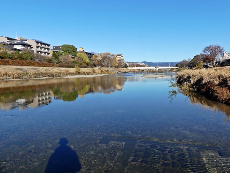 京都散歩で鴨川, Stroll along the Kamo River in Kyoto