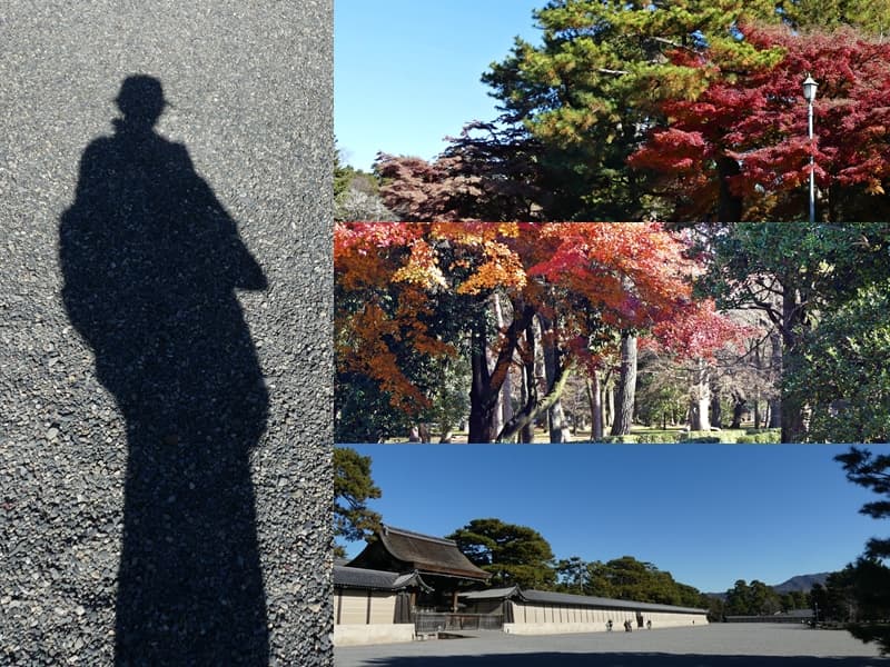 12月の京都御所（虚と御苑）, Kyoto Imperial Palace (Kyoto Gyoen National Garden) in December