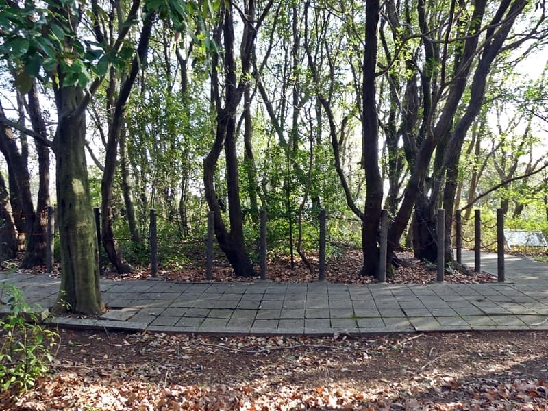 阿武山古墳, Abuyama Kofun